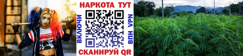 Как найти наркотики Ленинградская Марихуана АМФЕТАМИН Cocaine ГАШИШ omg ONION А ПВП Мефедрон