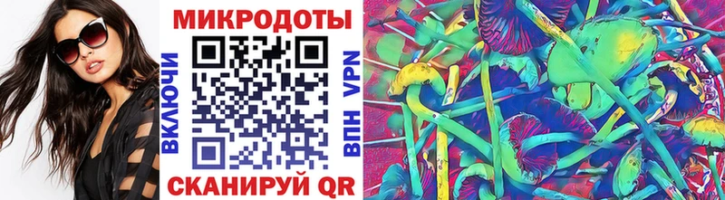 закладка  Ленинградская  Псилоцибиновые грибы Psilocybe 